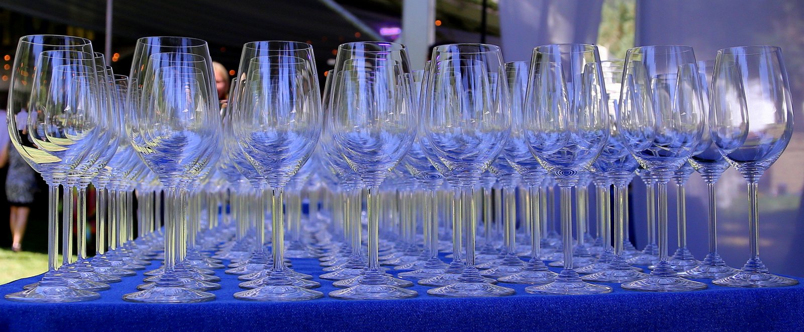 Vine Day's Work Behind the Scenes at Auction Napa Valley 2014 Palate