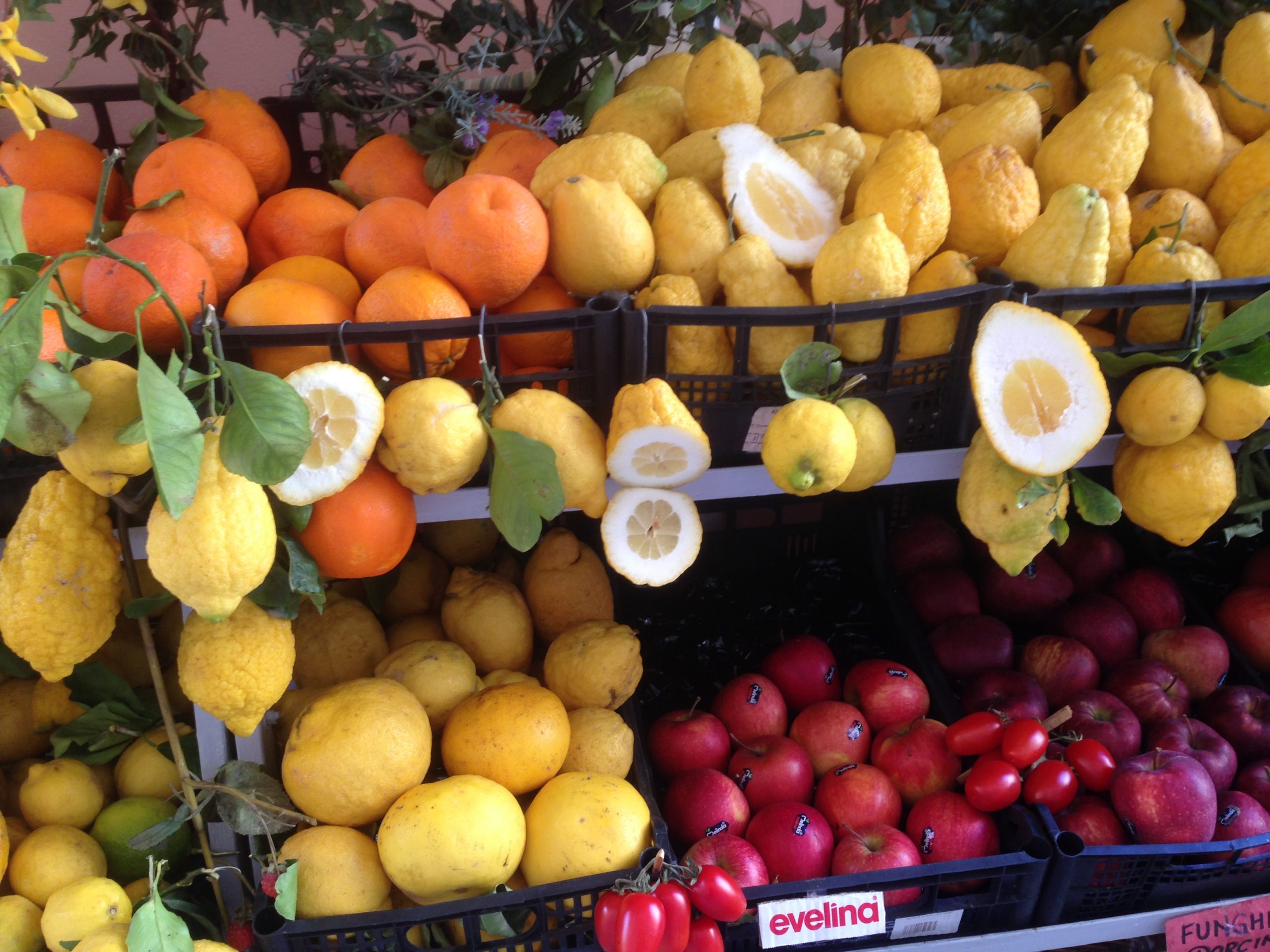 Seven Summer Wines for a Sicilian Dinner