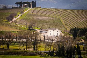 scacciadiavoli estate