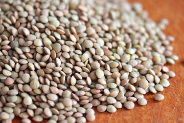 umbrian brown lentils