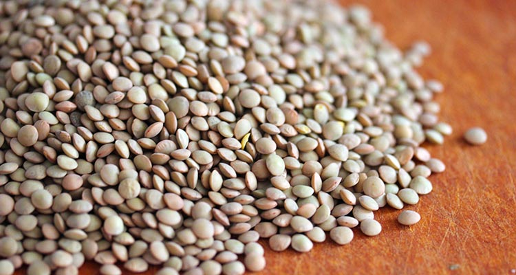 umbrian brown lentils